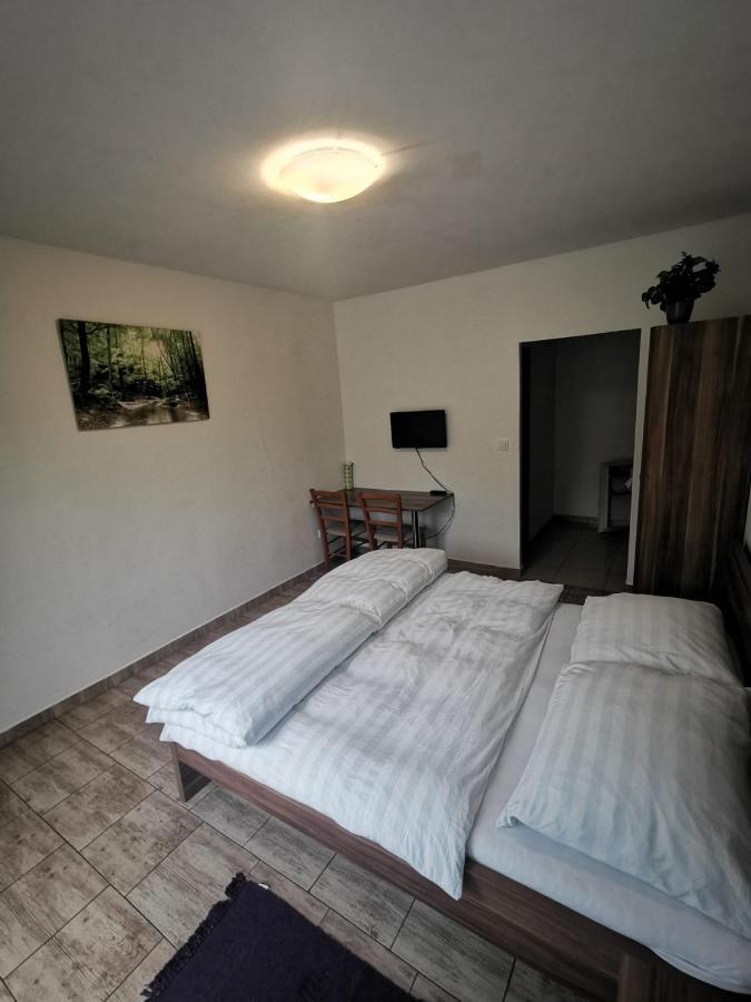 Apartmany Pod Landstejnem Stare Mesto  Εξωτερικό φωτογραφία