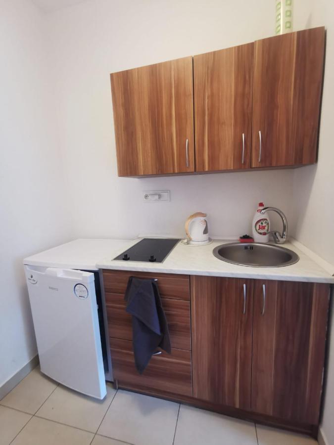 Apartmany Pod Landstejnem Stare Mesto  Εξωτερικό φωτογραφία